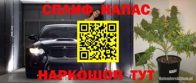 индика Будённовск