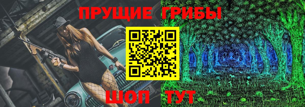 Псилоцибиновые грибы Psilocybine cubensis  Вход с VPN  купить наркотик  Псилоцибиновые грибы мицелий  Среднеуральск 